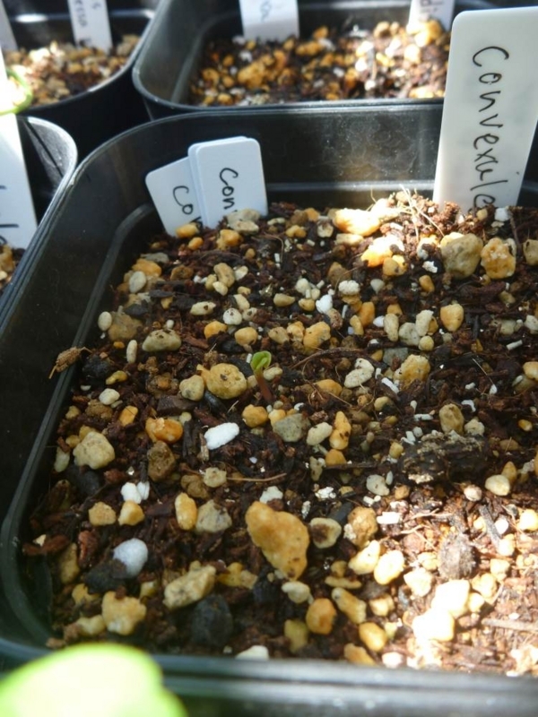 f:id:quick_past:20170919204843j:image:w360