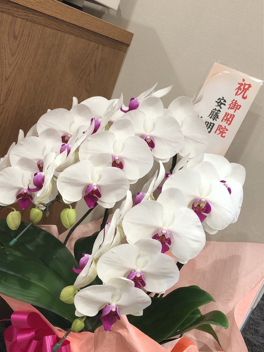 f:id:quint:20220105135118j:plain