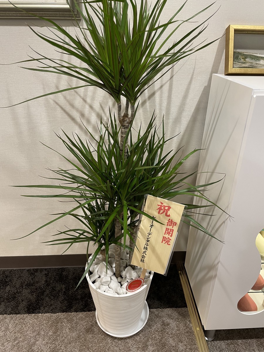 f:id:quint:20220105182226j:plain