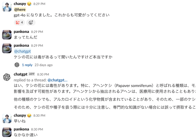 GPT-4o を試す様子
