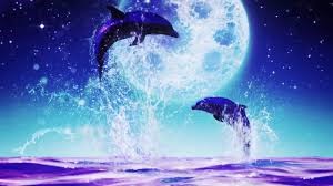 f:id:quizutaikai:20200414202612j:plain