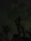 20130304083140