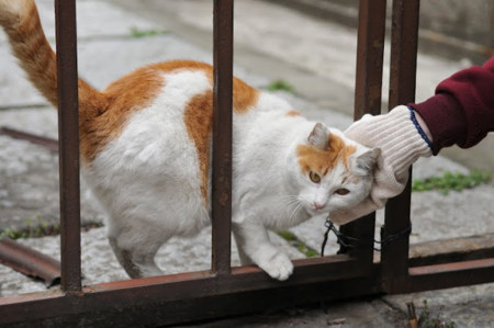f:id:qunonko:20120315023906j:image