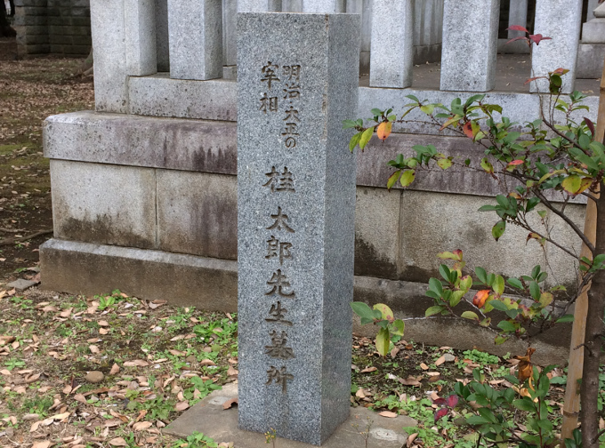 f:id:quo_hitsuji:20190113231922j:plain