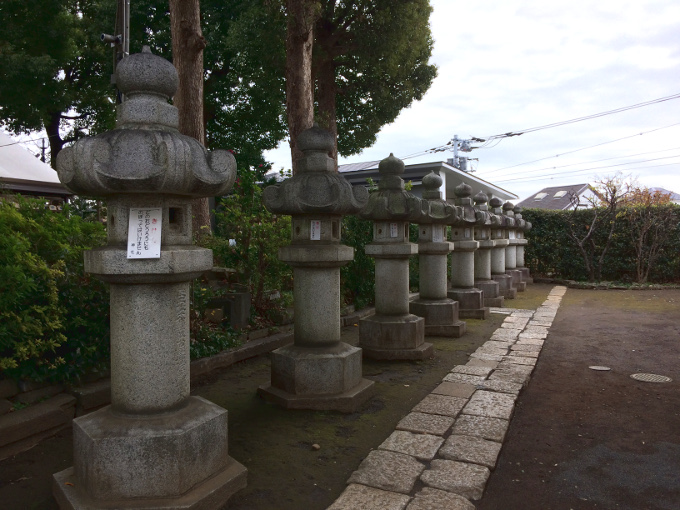 f:id:quo_hitsuji:20190114004930j:plain