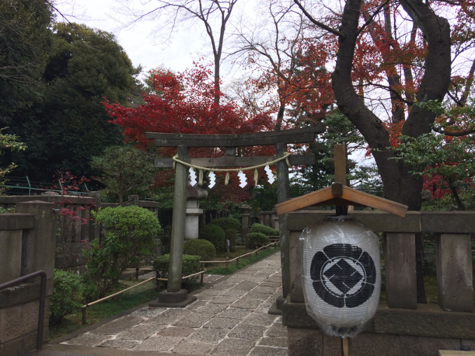 f:id:quo_hitsuji:20190114013139j:plain