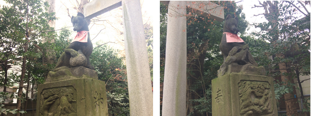 f:id:quo_hitsuji:20190202142949j:plain