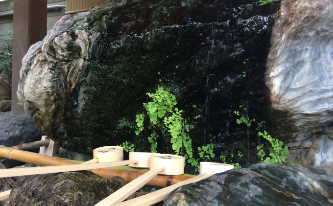 f:id:quo_hitsuji:20190202143301j:plain