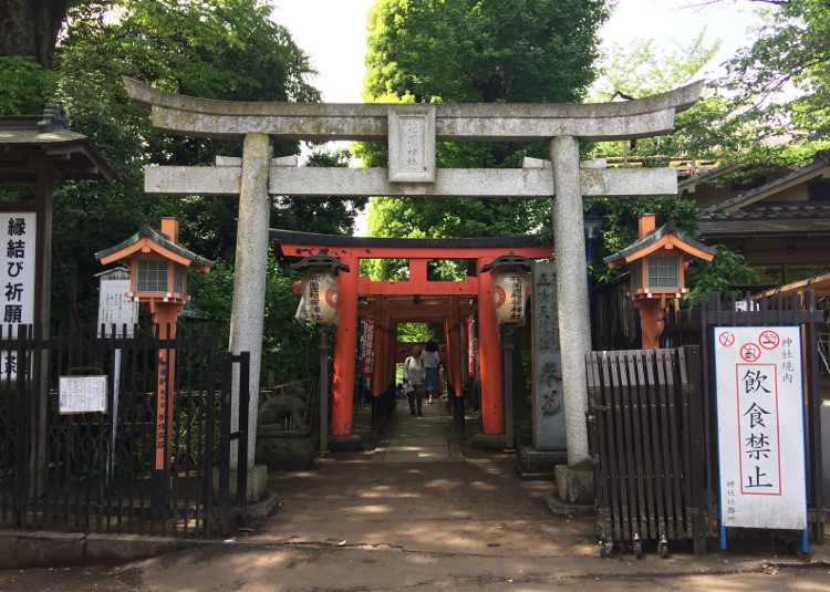 f:id:quo_hitsuji:20190502001940j:plain