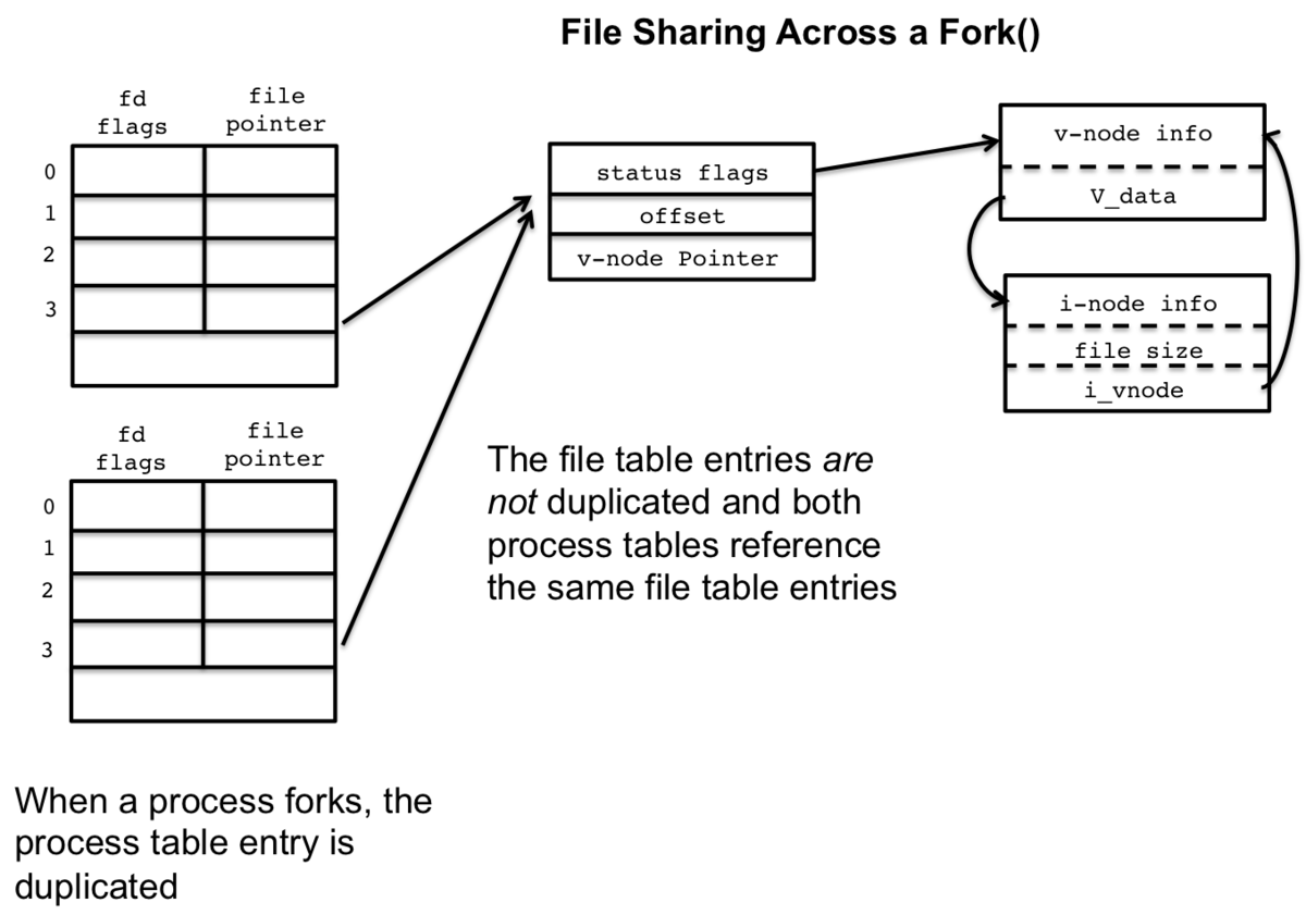 f:id:quoll00:20191220154748p:plain