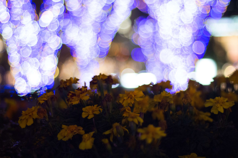 f:id:quoqlishkun:20170211141004j:plain f:id:quoqlishkun:20170211141004j:plain