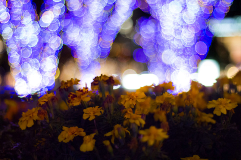 f:id:quoqlishkun:20170211141011j:plain f:id:quoqlishkun:20170211141011j:plain