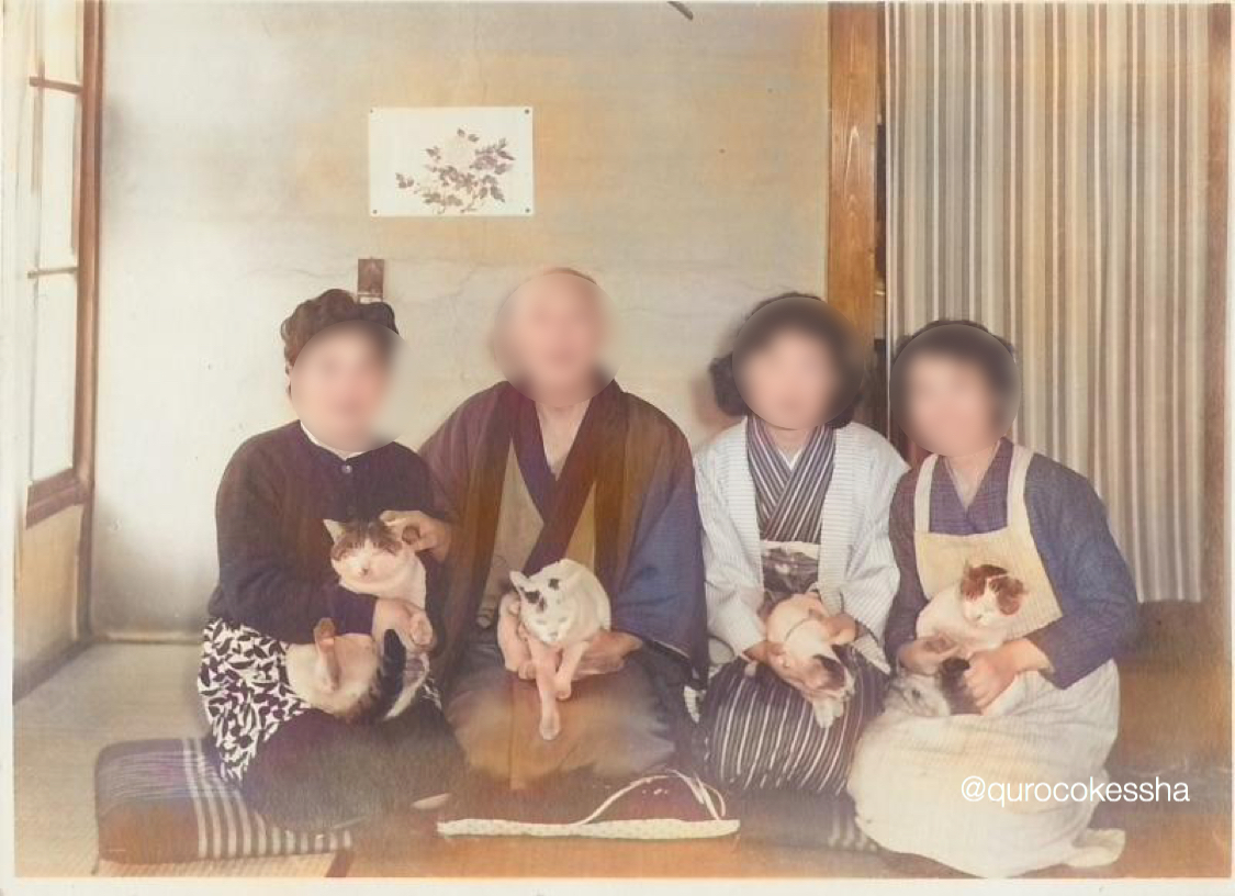 f:id:qurocokessha:20200415111543j:plain