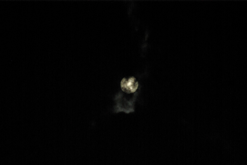 8:19 pm なんなの!の画像