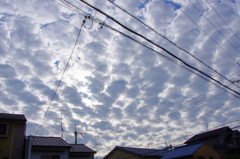 8:02 am  8:08 am  うろこ雲　　　1:51 pm　　　11:34 pmの画像