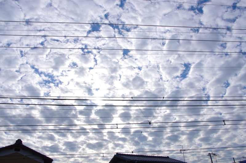 8:02 am 8:08 am うろこ雲 1:51 pm 11:34 pmの画像