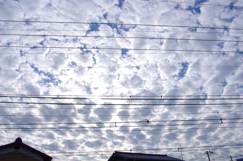 8:02 am  8:08 am  うろこ雲　　　1:51 pm　　　11:34 pmの画像