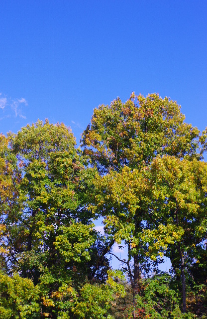 10:28 am 12:58 pm 2:03 pm ~ 2:09 pmの画像