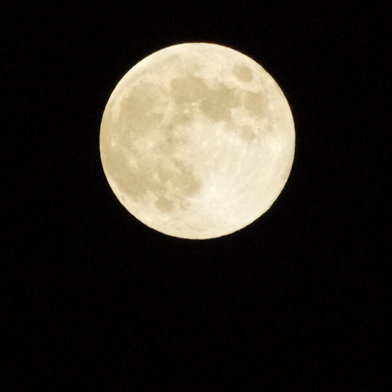 8:53 pm おれは、とっったぞぉぉ〜!の画像
