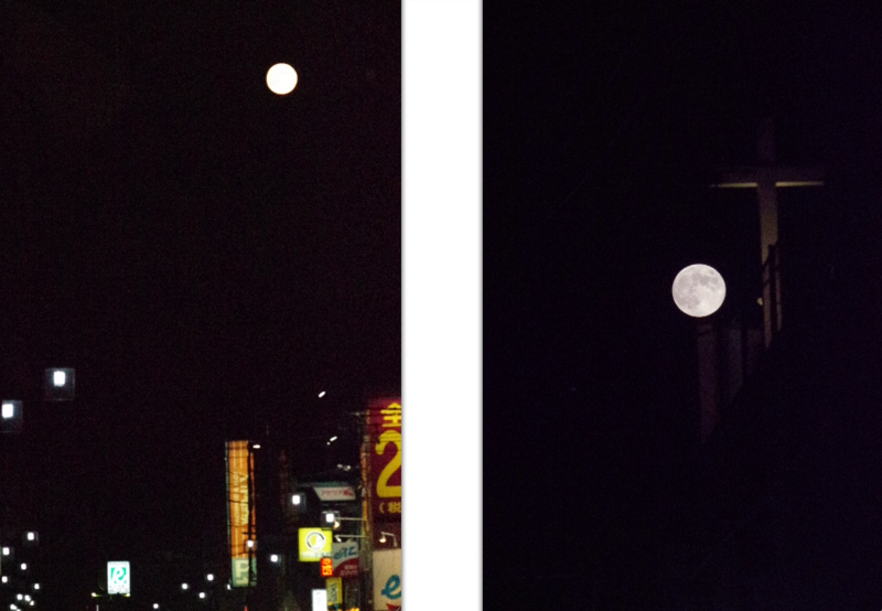 8:53 pm おれは、とっったぞぉぉ〜!の画像