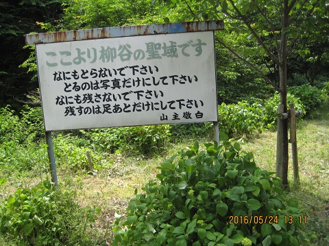 1:11 pm ~ 1:13 pm ~ 1:23 pm 柳谷観音 楊谷寺 へ、の画像