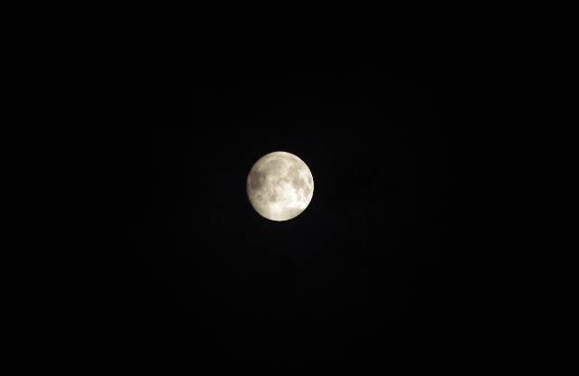 10:15 pm 十五夜(前撮り?・・・違うか)の画像