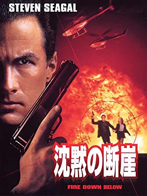 これがスティーブン セガールだ 映画 沈黙の断崖 Qwert28のブログ