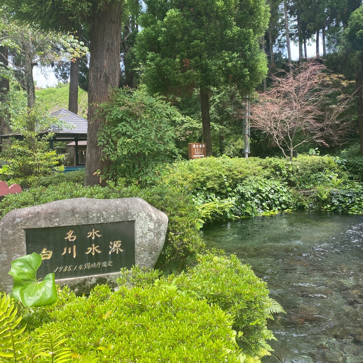 f:id:qwerty0988:20210612193844j:image f:id:qwerty0988:20210612193844j:image