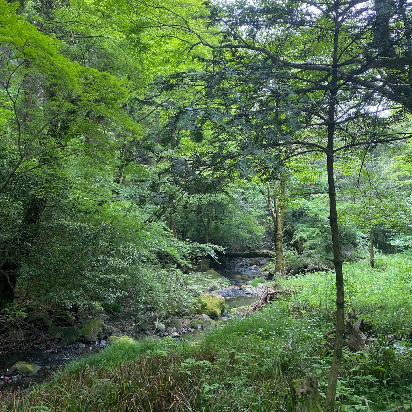 f:id:qwerty0988:20210612195533j:image f:id:qwerty0988:20210612195533j:image