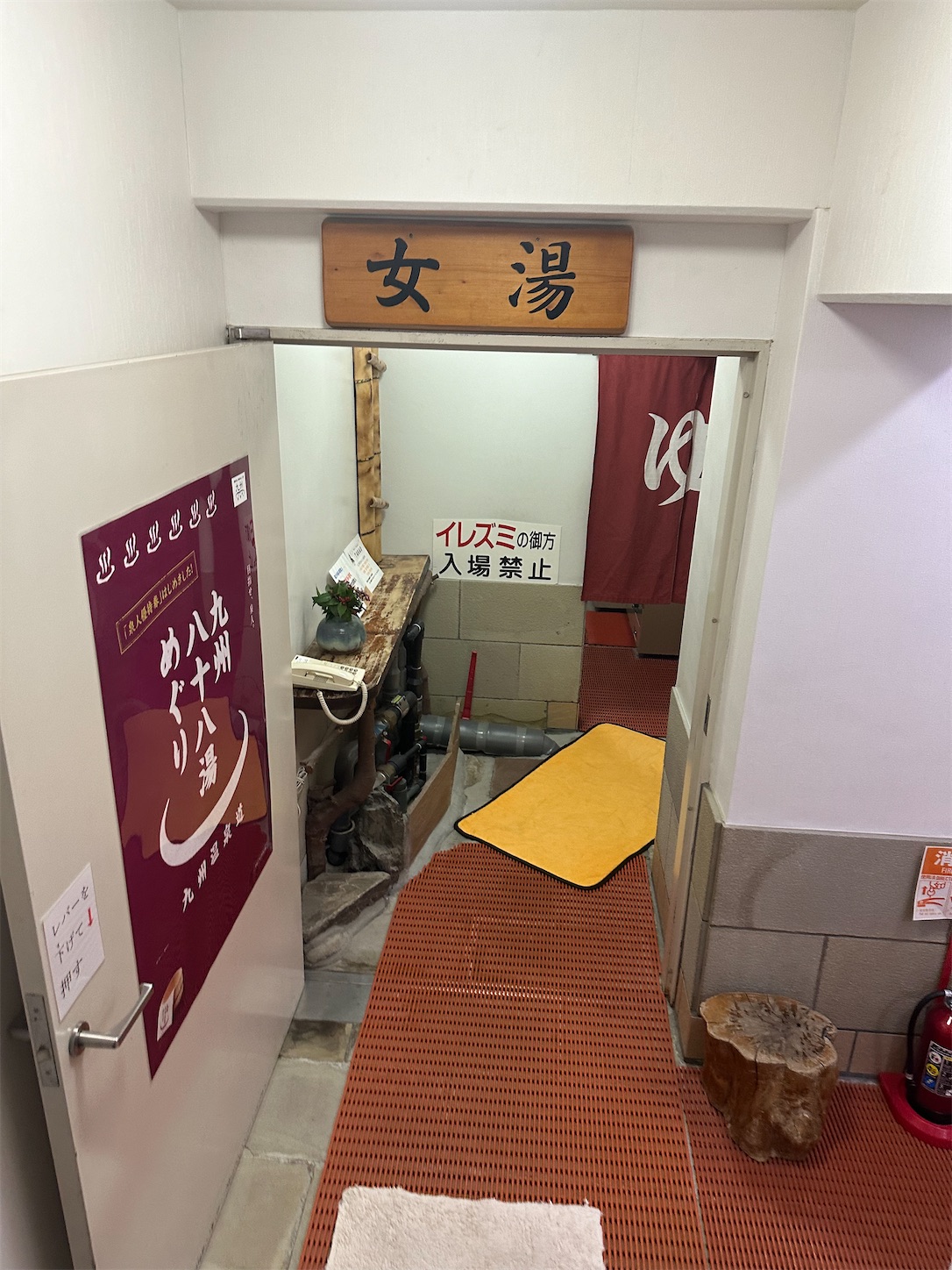 f:id:qwerty0988:20240202025705j:image