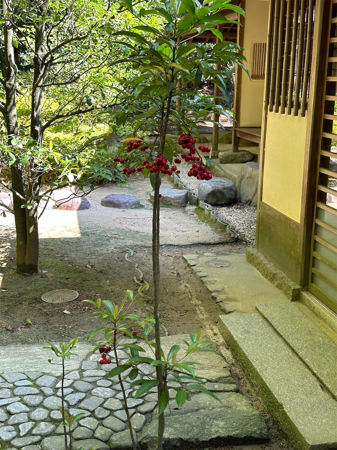 f:id:qwerty0988:20241002002110j:image