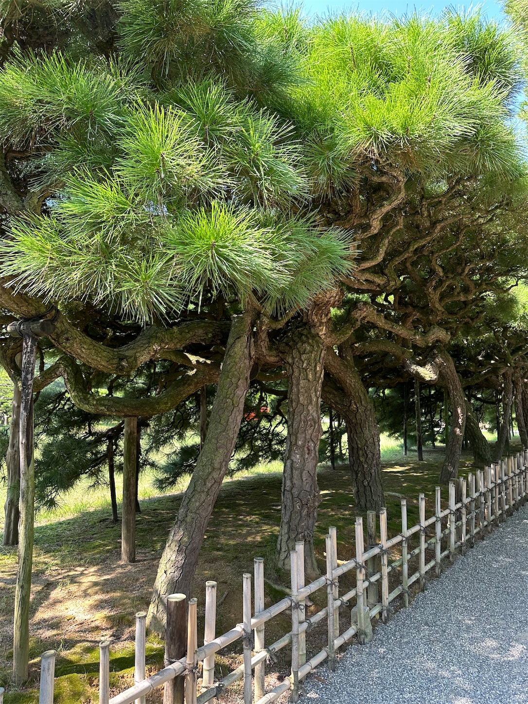 f:id:qwerty0988:20241002002120j:image