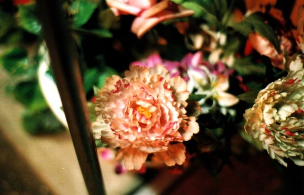 f:id:qyu:20070527095817j:image:w450 f:id:qyu:20070527095817j:image:w450