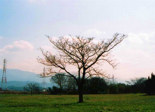 f:id:qyu:20070527095926j:image:w450 f:id:qyu:20070527095926j:image:w450