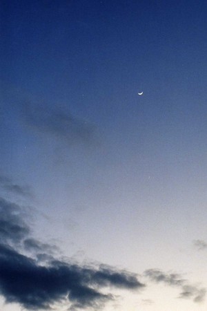 f:id:qyu:20080513124633j:image f:id:qyu:20080513124633j:image