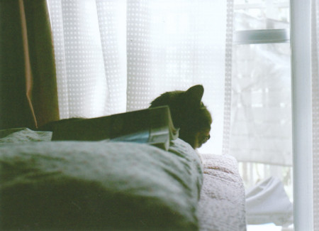 f:id:qyu:20081218185626j:image f:id:qyu:20081218185626j:image