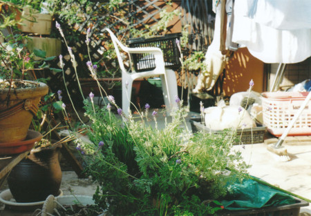 f:id:qyu:20081229125037j:image f:id:qyu:20081229125037j:image
