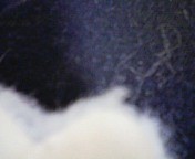 f:id:qyu:20090105213219j:image f:id:qyu:20090105213219j:image