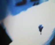 f:id:qyu:20090205164349j:image f:id:qyu:20090205164349j:image