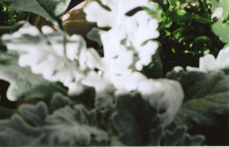 f:id:qyu:20090218101835j:image f:id:qyu:20090218101835j:image