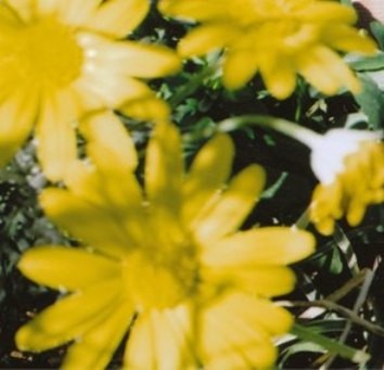 f:id:qyu:20090303122254j:image f:id:qyu:20090303122254j:image