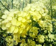 f:id:qyu:20090407122407j:image f:id:qyu:20090407122407j:image