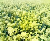 f:id:qyu:20090407122626j:image f:id:qyu:20090407122626j:image