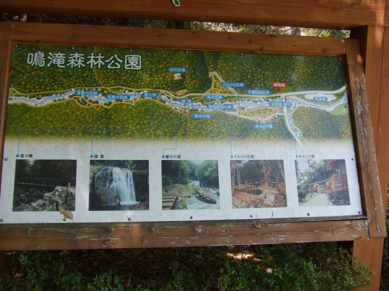 f:id:r-bikou:20090514120227j:image