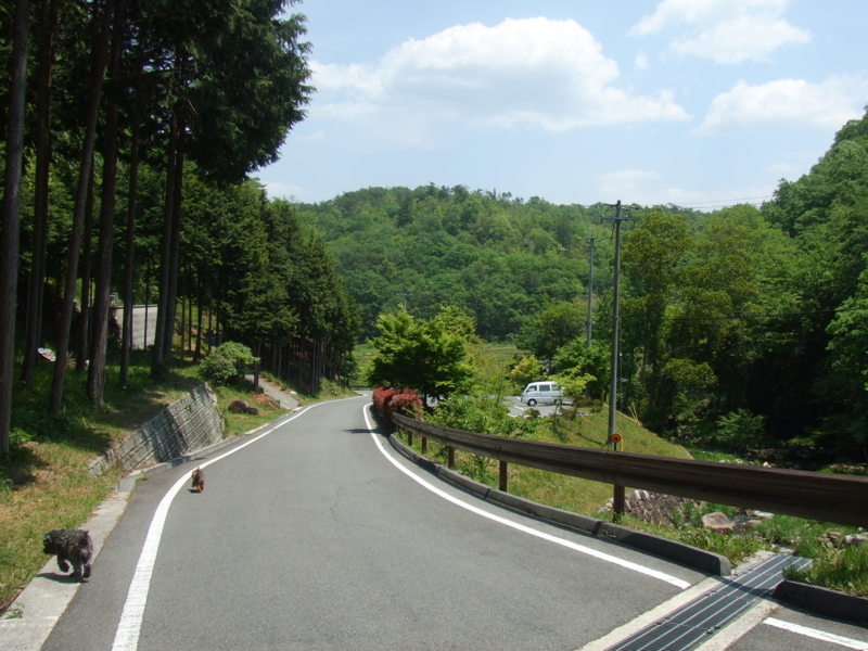 f:id:r-bikou:20090514120238j:image