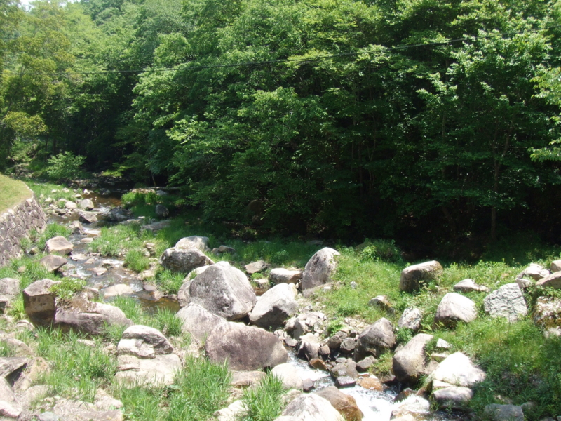 f:id:r-bikou:20090514120249j:image
