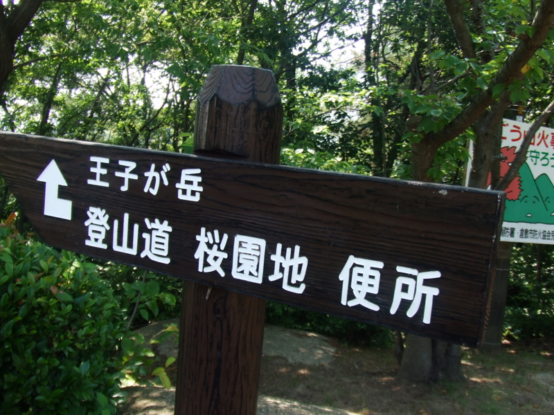 f:id:r-bikou:20090618143643j:image