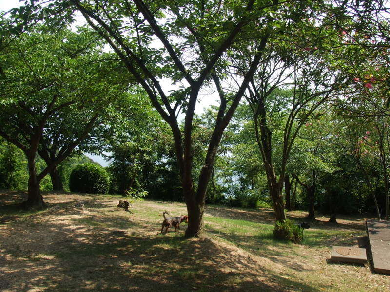 f:id:r-bikou:20090618143717j:image