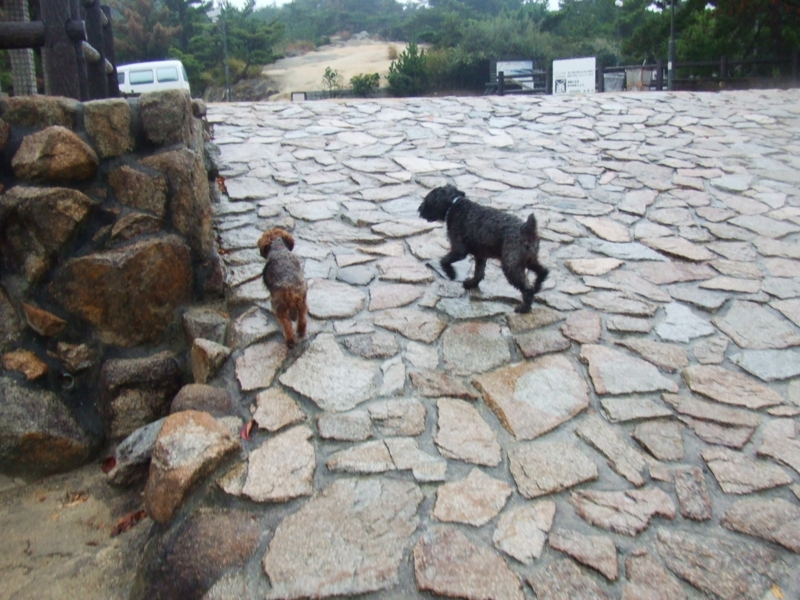 f:id:r-bikou:20091026074310j:image