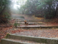 20100401102209